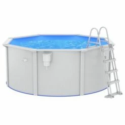 VidaXL Piscine avec échelle de sécurité 300x120 cm