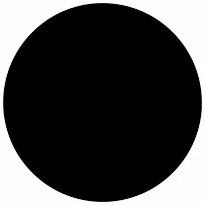 VidaXL Couverture de piscine Noir 250 cm PE 2 VidaXL Couverture de piscine Noir 250 cm PE – Image 2